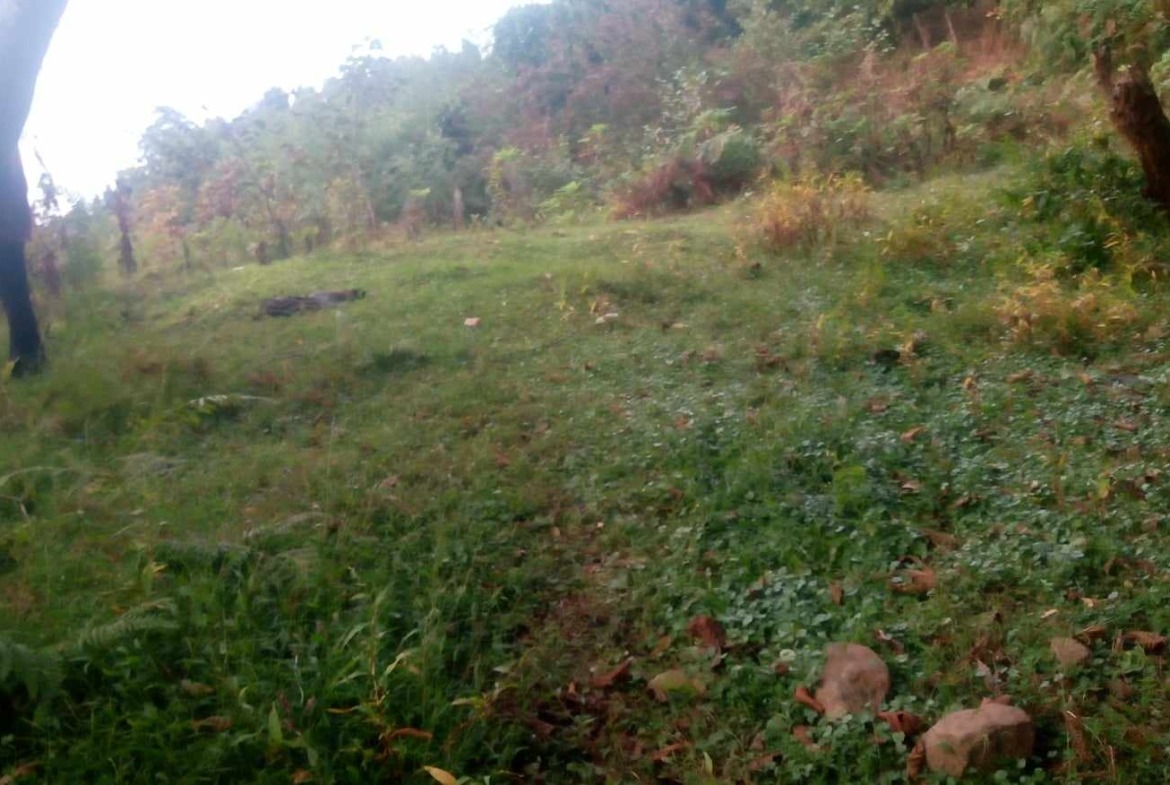 Plot of land in Gonio