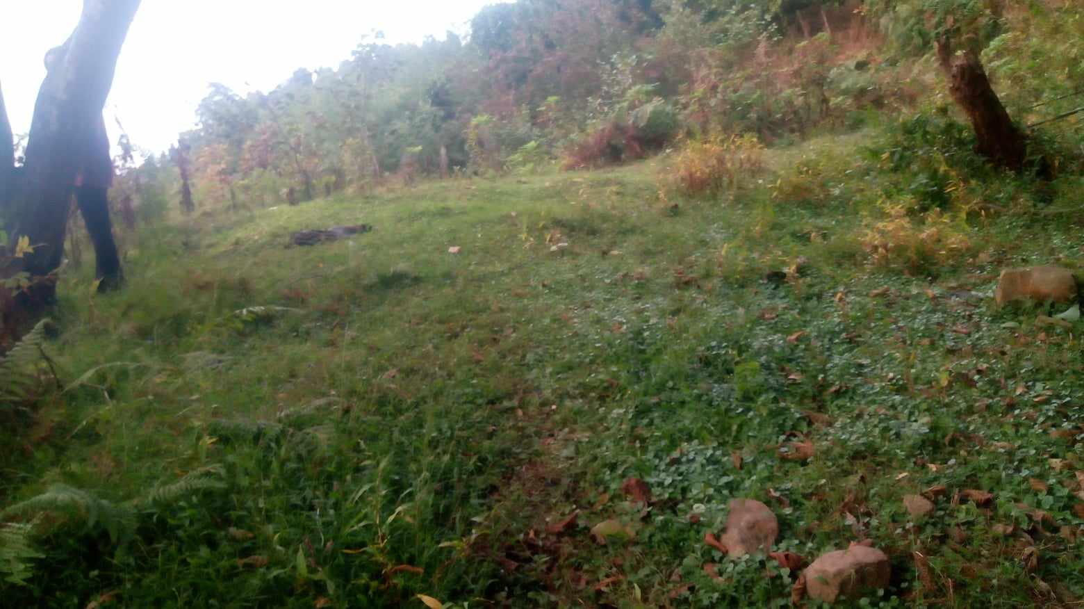 Plot of land in Gonio