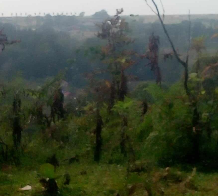 Plot of land in Gonio