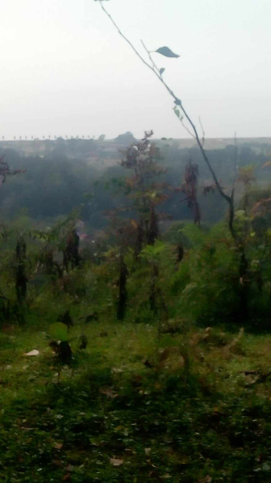 Plot of land in Gonio