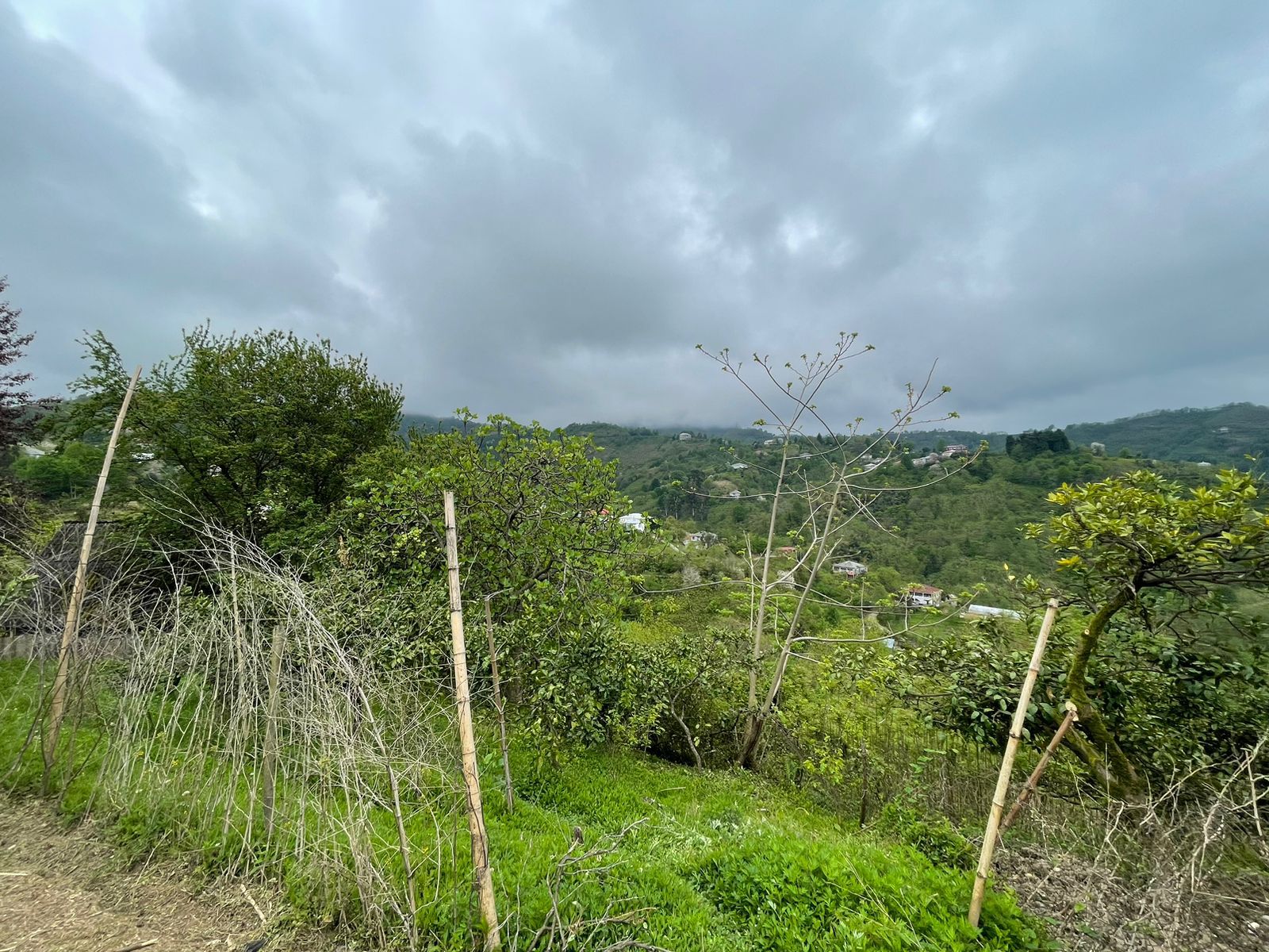 WhatsApp Image 2024-07-30 at 17.07.48 Plot of land in Makhinjauri