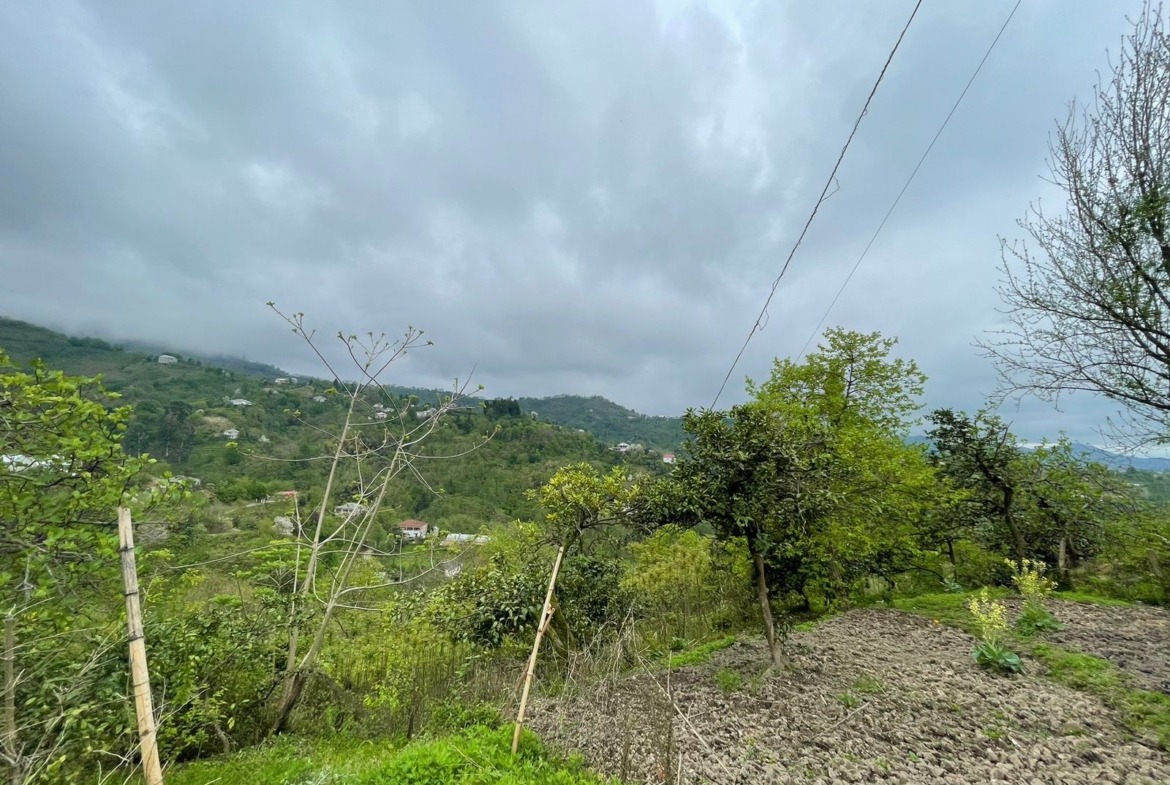 Plot of land in Makhinjauri