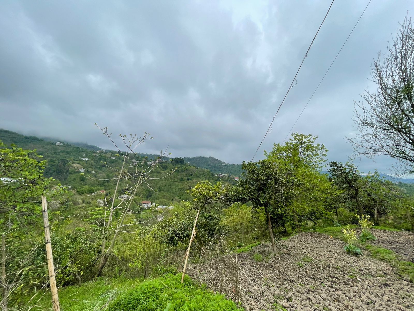 WhatsApp Image 2024-07-30 at 17.07.49 Plot of land in Makhinjauri