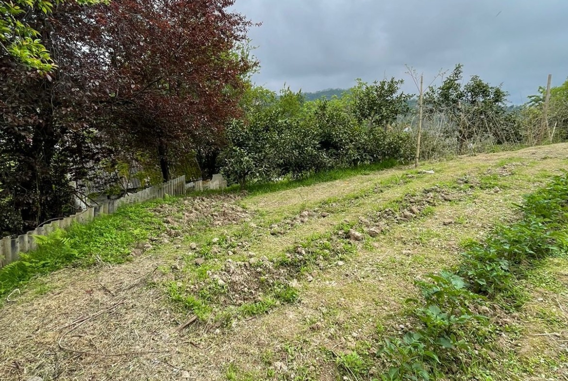 Plot of land in Makhinjauri