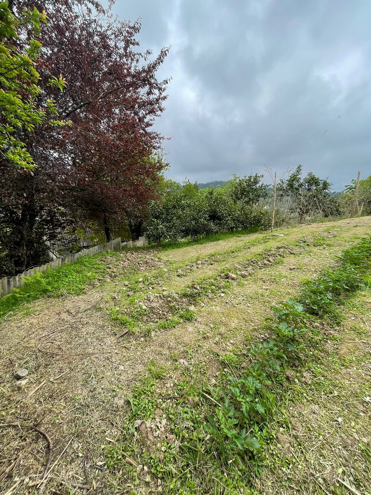 WhatsApp Image 2024-07-30 at 17.07.50 Plot of land in Makhinjauri