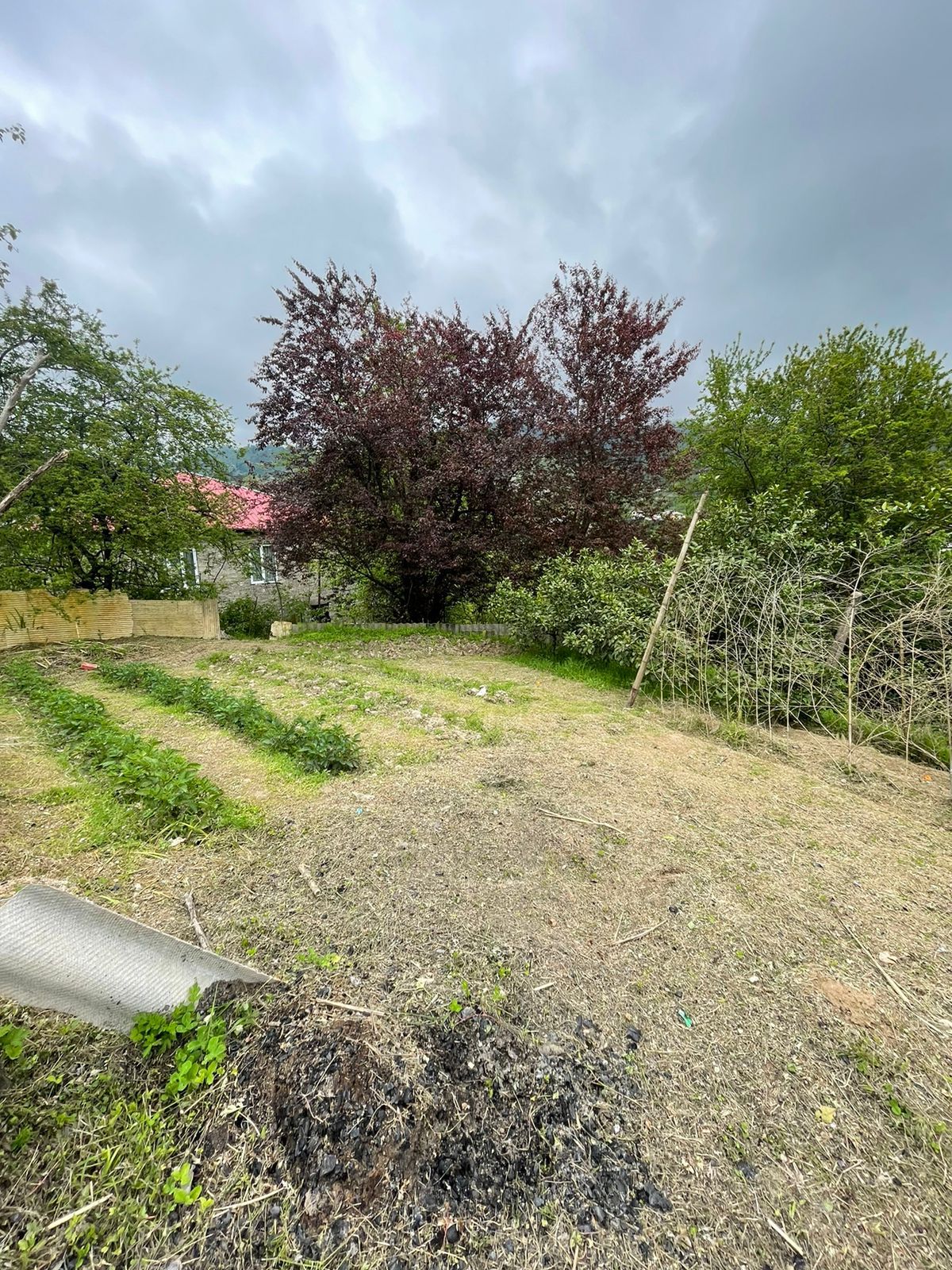 WhatsApp Image 2024-07-30 at 17.07.51 (1) Plot of land in Makhinjauri