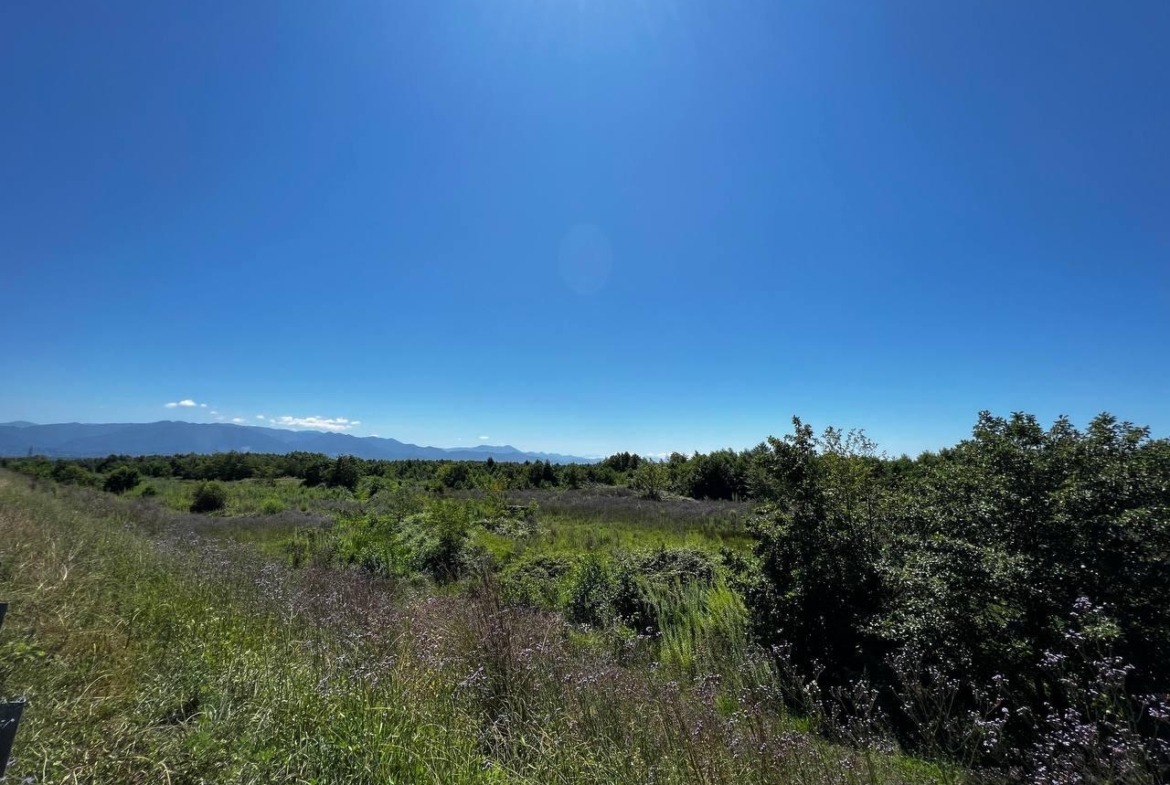 Plot of land in Shekvetili