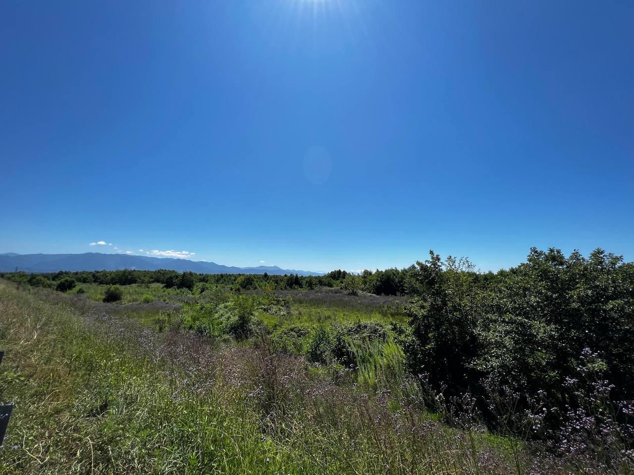 Plot of land in Shekvetili