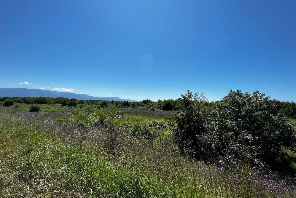 Plot of land in Shekvetili