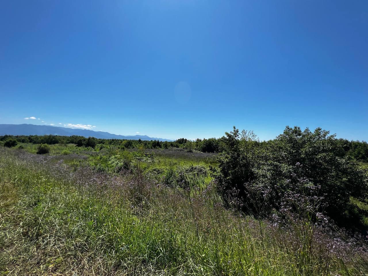 Plot of land in Shekvetili