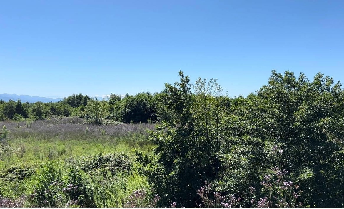 Plot of land in Shekvetili