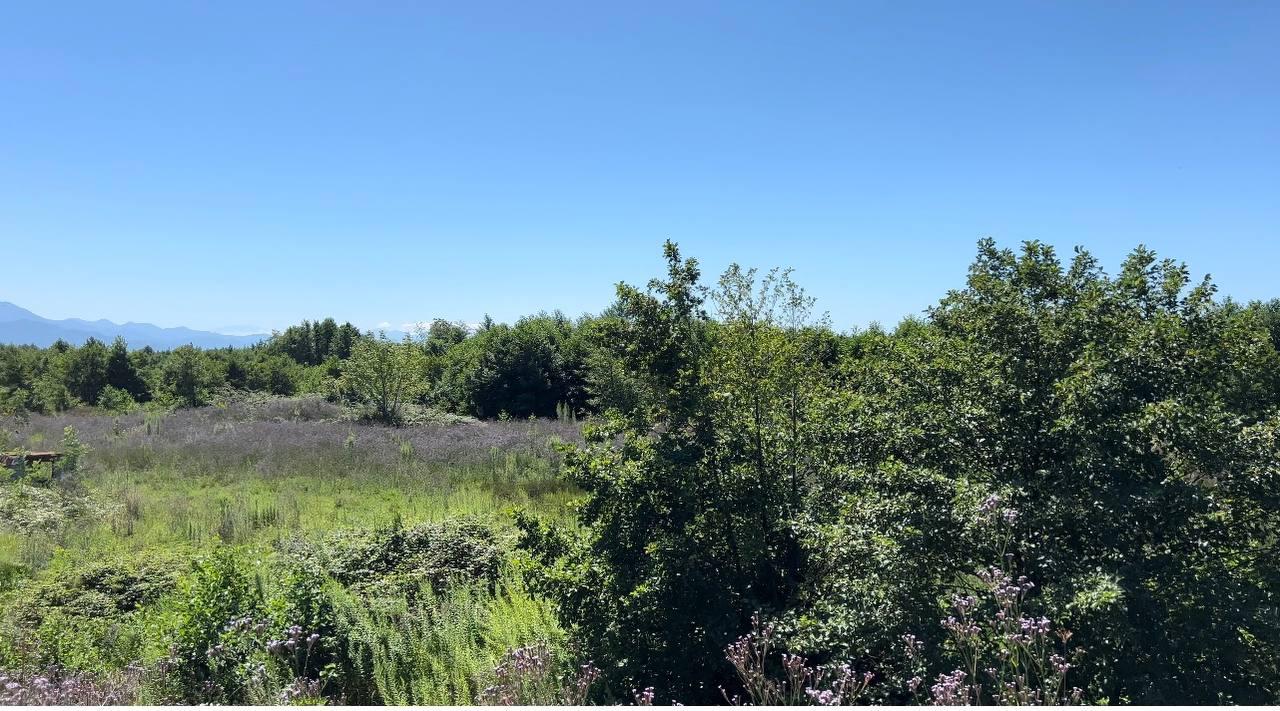 Plot of land in Shekvetili