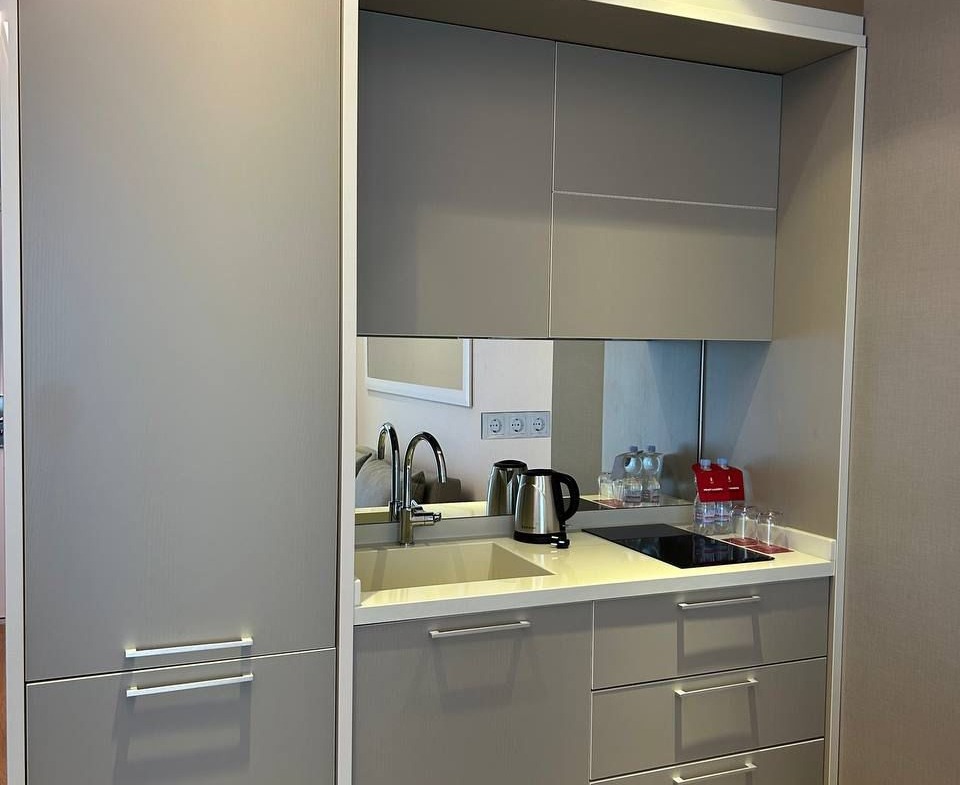 Two rooms apartment in Alliance Palace