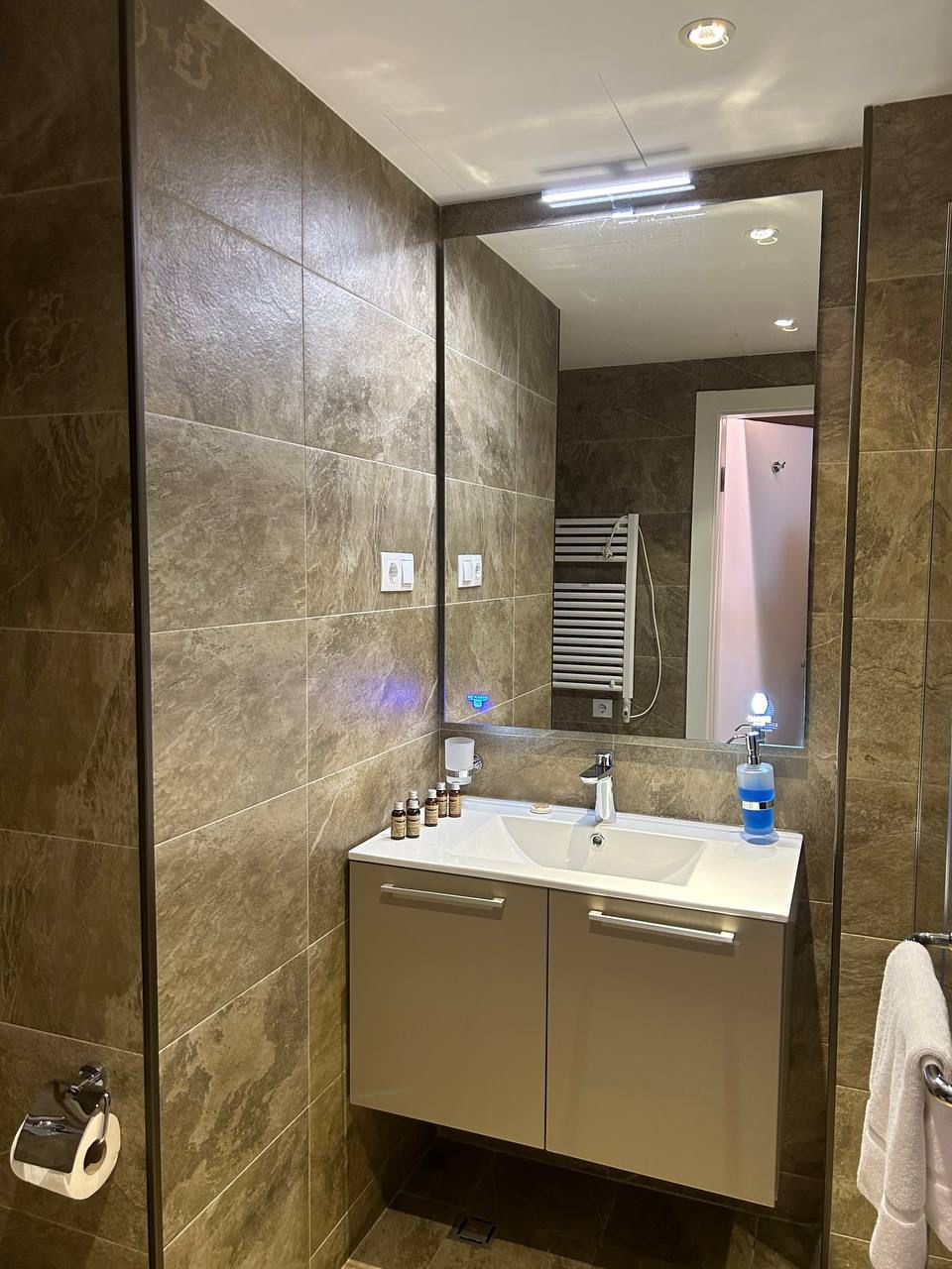 Two rooms apartment in Alliance Palace