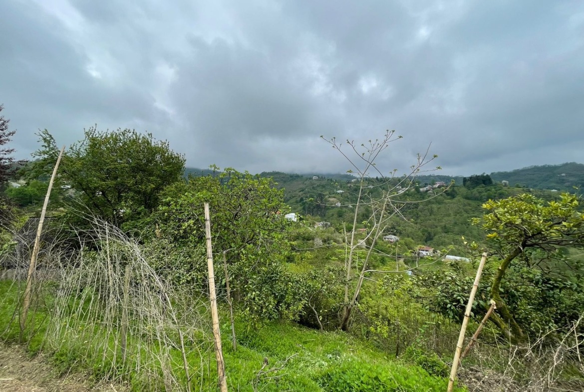 Plot of land in Makhinjauri