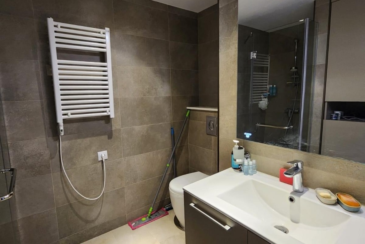 Two rooms apartment in Alliance Palace