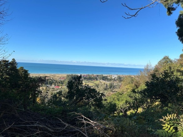 Plot of land in Gonio
