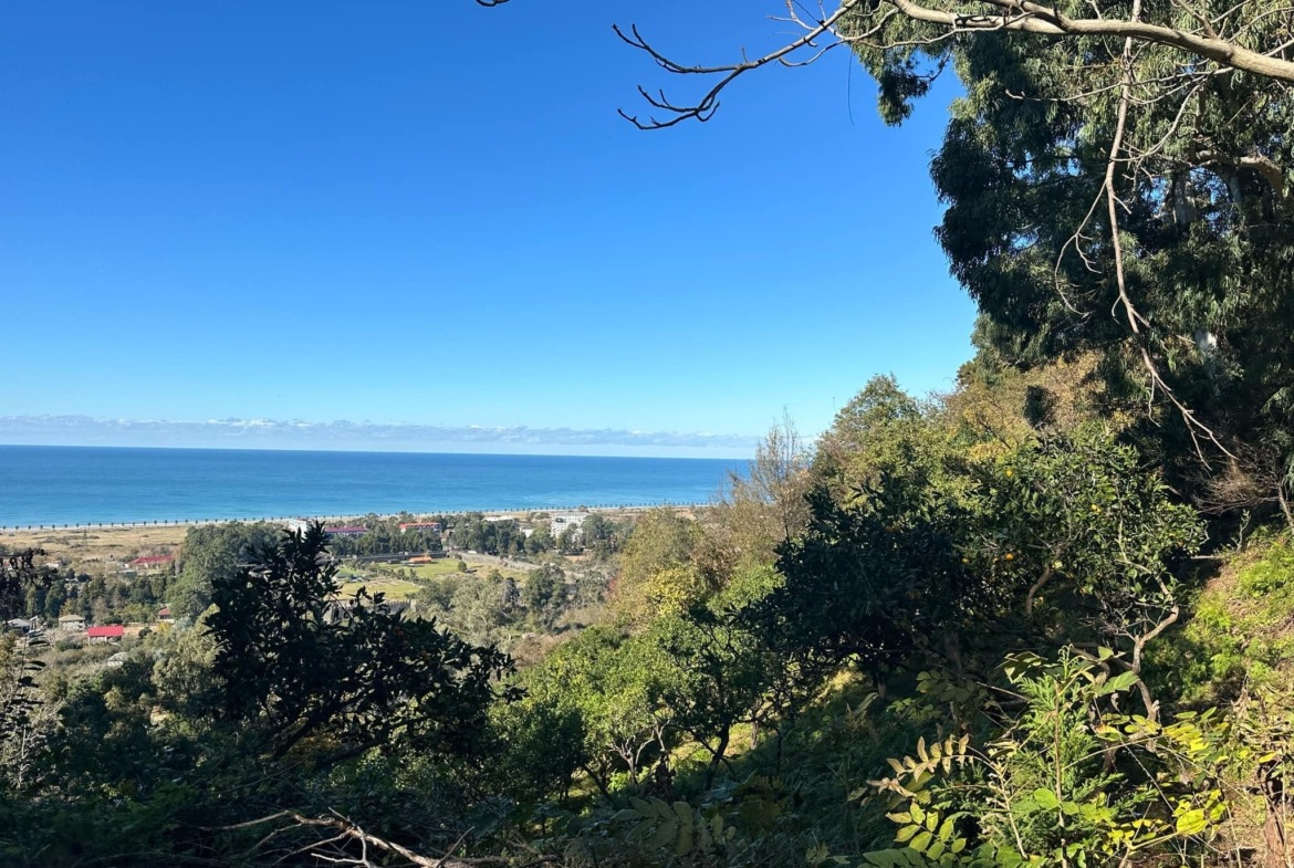 Plot of land in Gonio