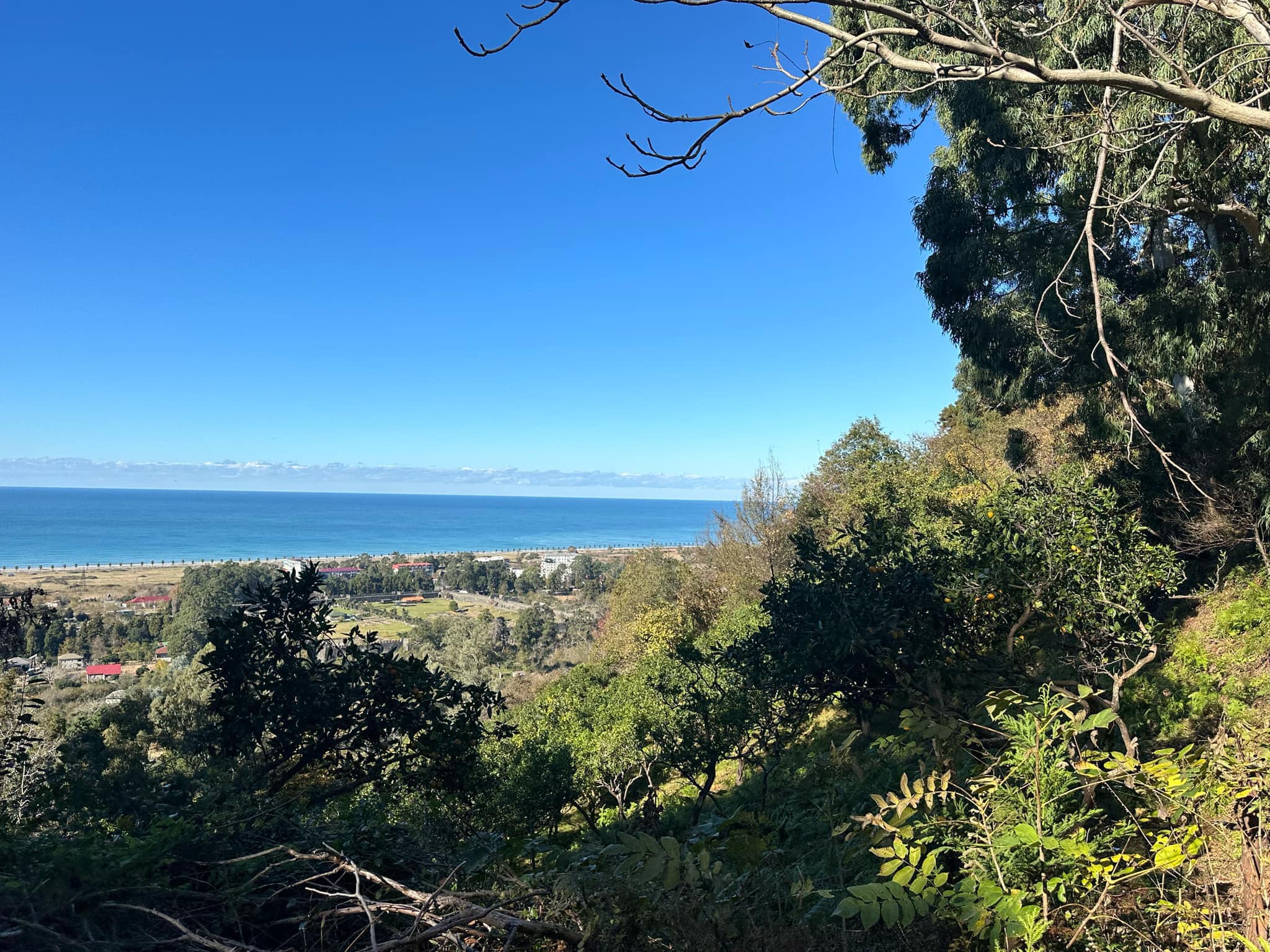 467421088_3656671991290101_8217895513546336578_n Plot of land in Gonio