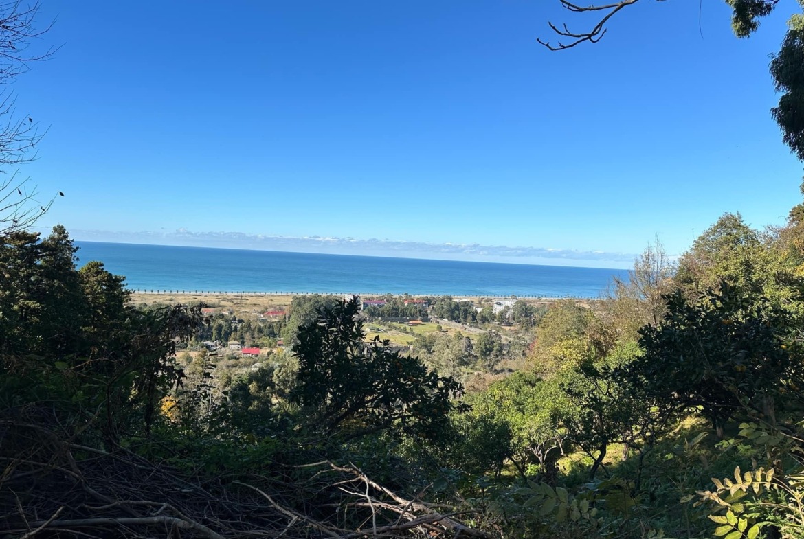 Plot of land in Gonio