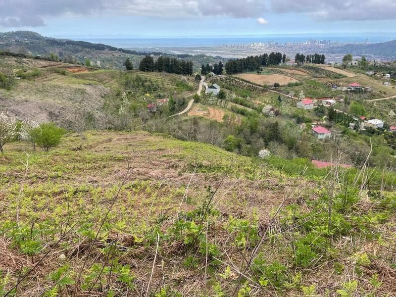 Plot of land in Tkhilnari