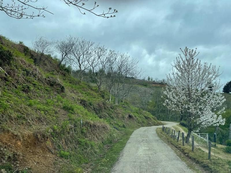 Plot of land in Tkhilnari