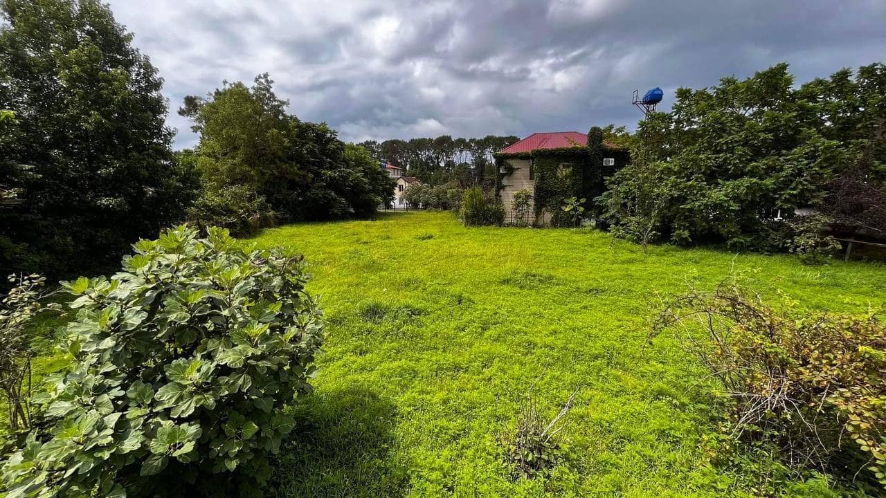 449474585_7885442304842258_1931248768993948945_n Plot of land in Ureki