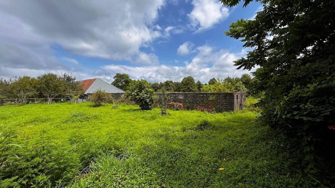 451846375_7885442571508898_5294959726289126516_n Plot of land in Ureki