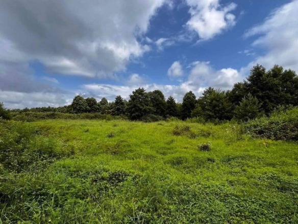 Plot of land in Ureki
