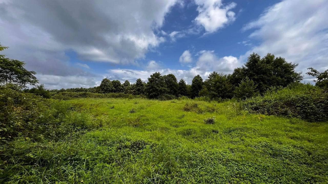 451846648_7885442674842221_7105848681457054768_n Plot of land in Ureki