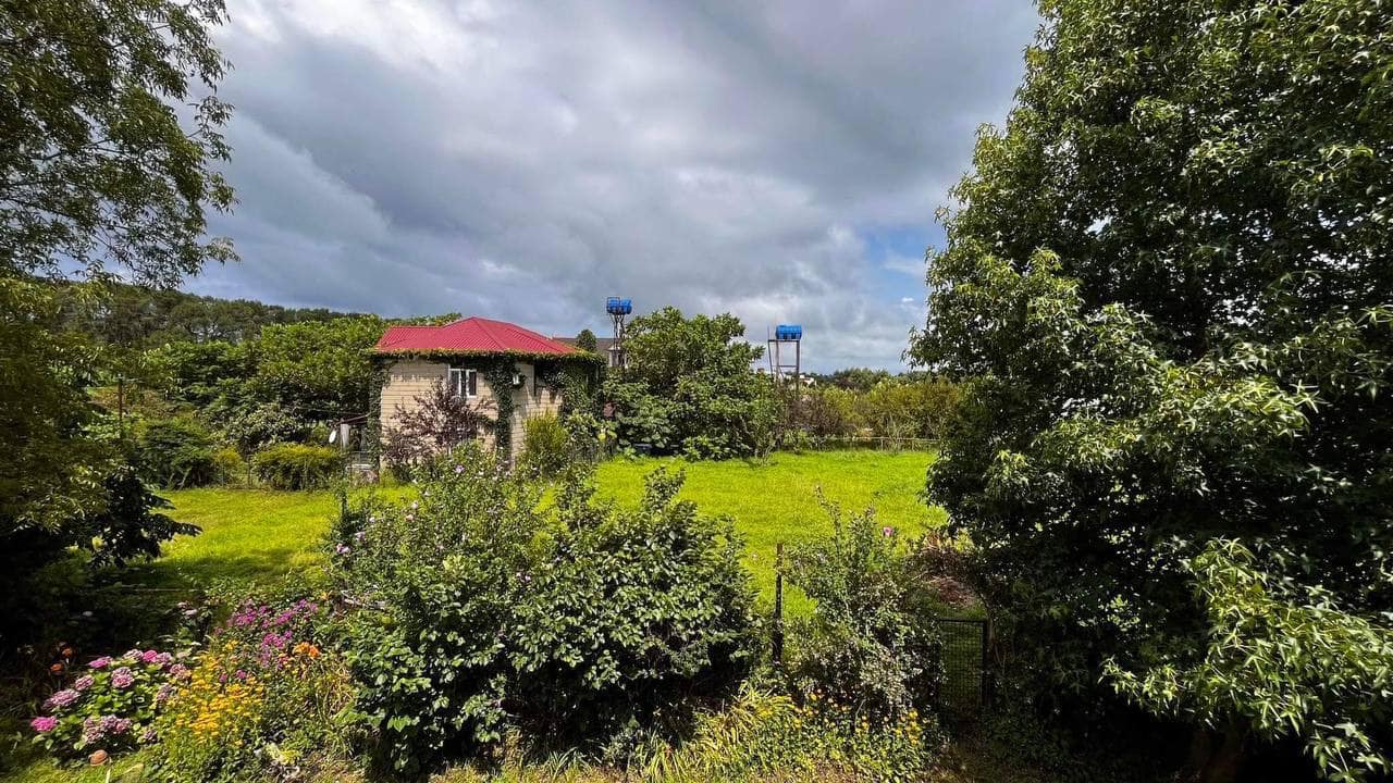 451853093_7885442541508901_1292275809755075975_n Plot of land in Ureki