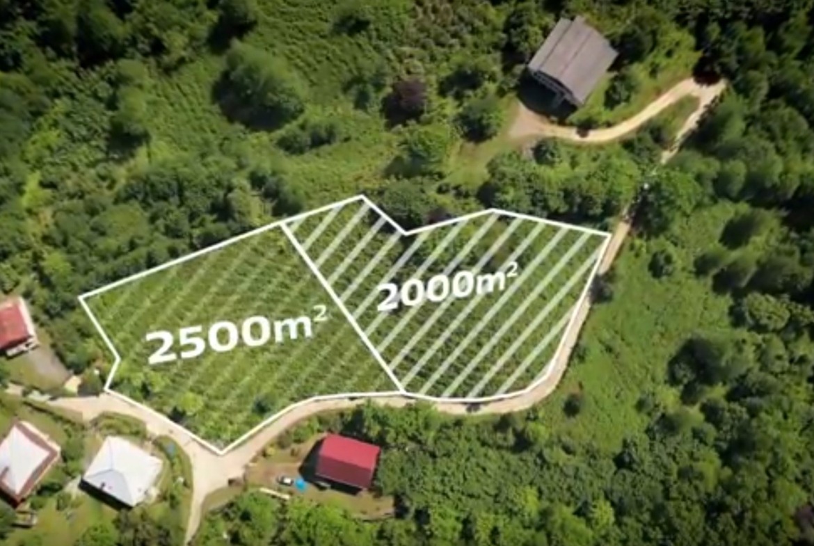 Plot of land in Ortabatumi