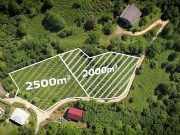 Plot of land in Ortabatumi