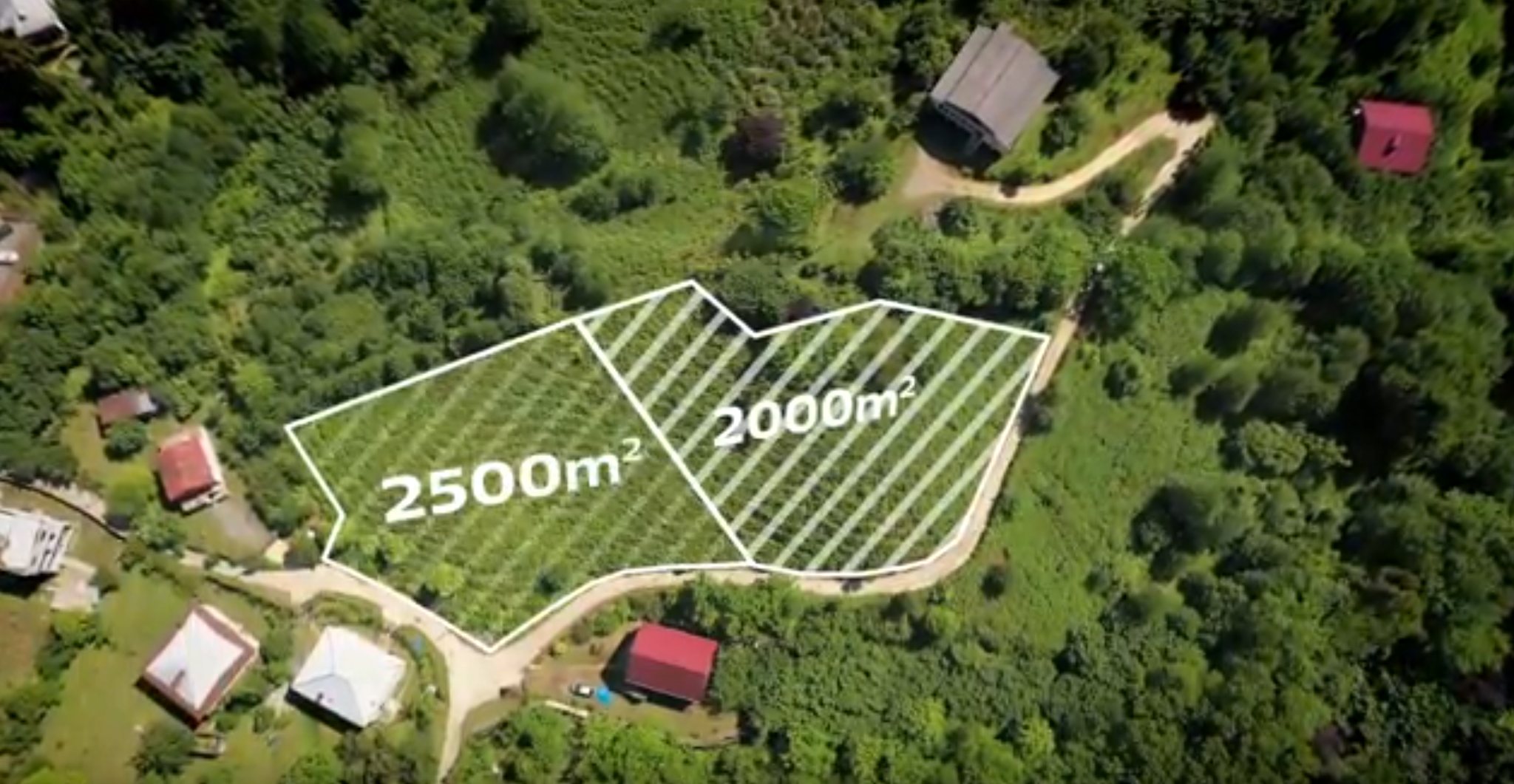 457608151_8872876836077688_9022408109275131543_n Plot of land in Ortabatumi