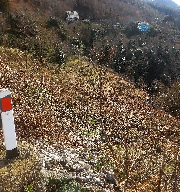 Plot of land in Sarpi