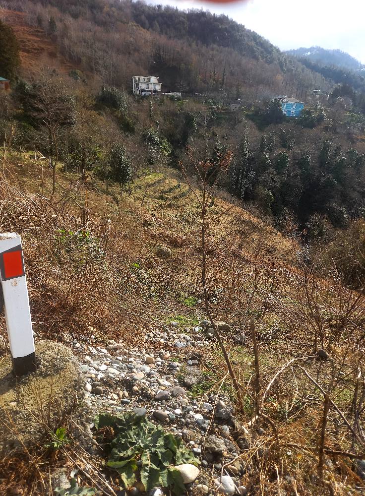 Plot of land in Sarpi