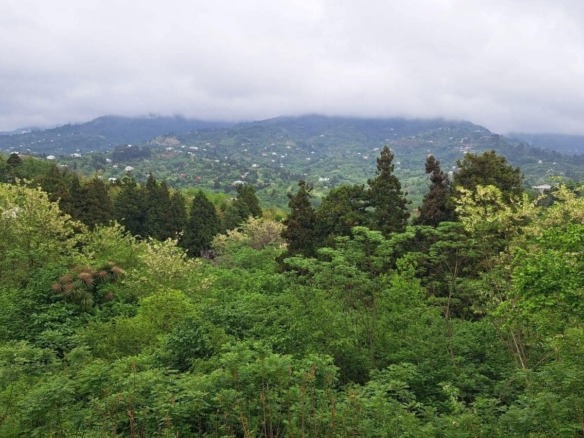 Plot of land in Tsikhisdziri