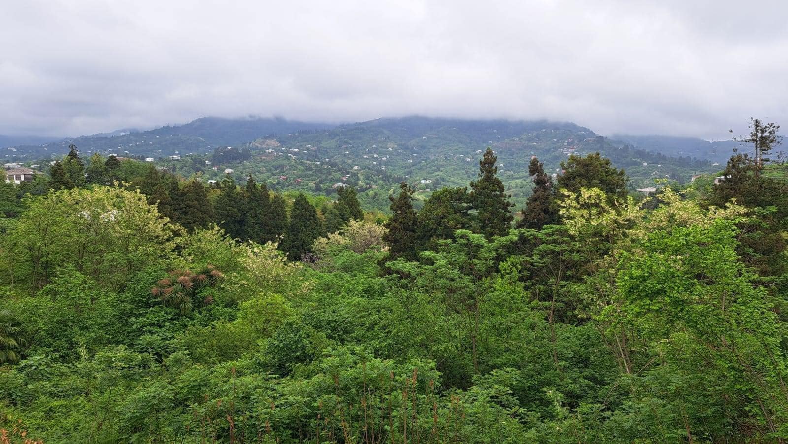 Plot of land in Tsikhisdziri