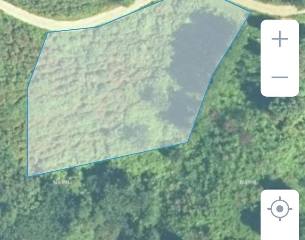 Plot of land in Sarpi