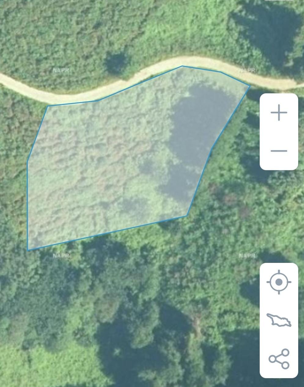 Plot of land in Sarpi