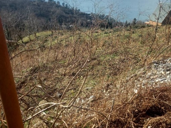 Plot of land in Sarpi