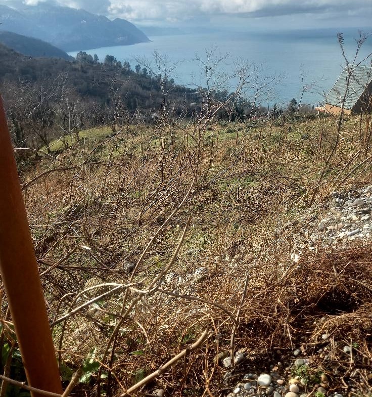 Plot of land in Sarpi