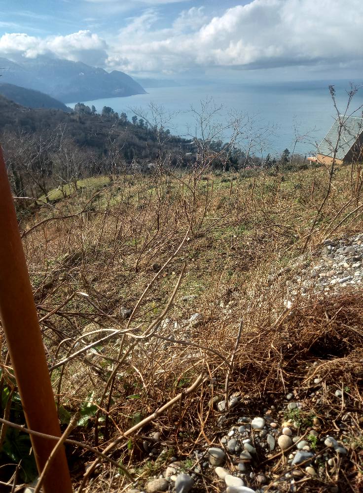 Plot of land in Sarpi