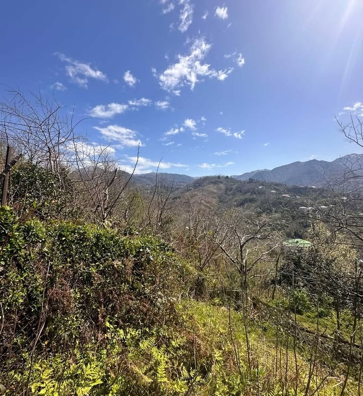Plot of land in Agara