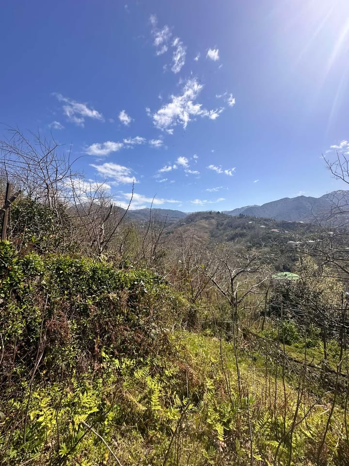 Plot of land in Agara