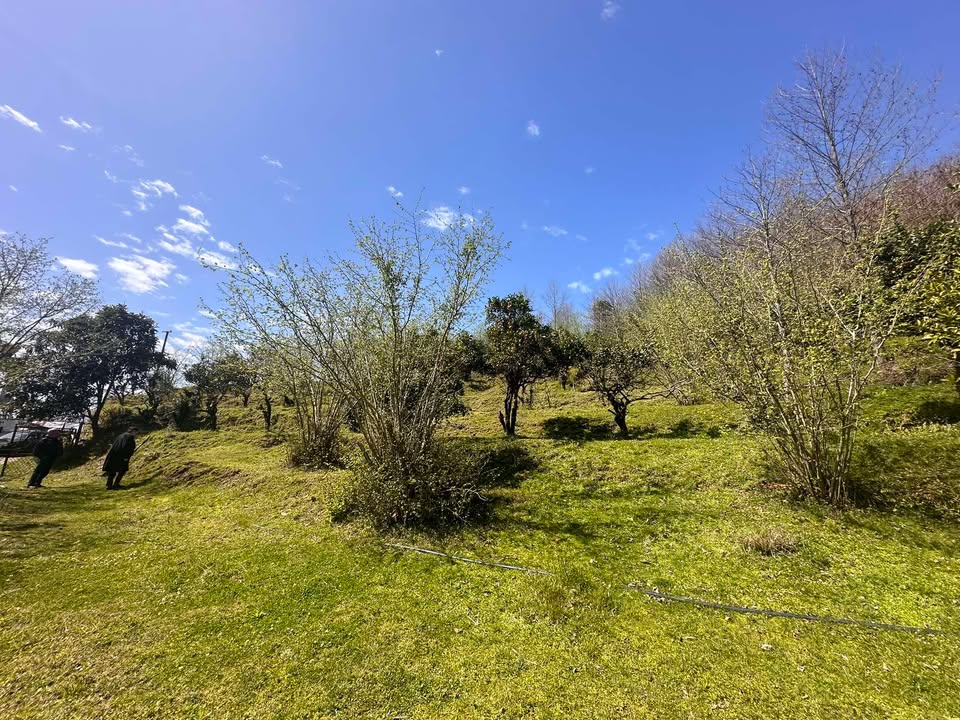 Plot of land in Agara