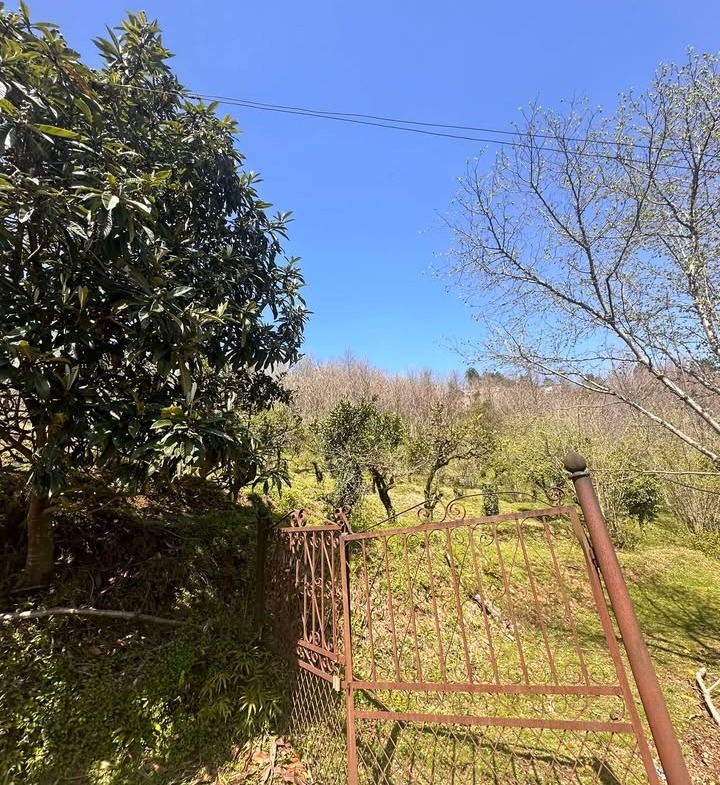 Plot of land in Agara