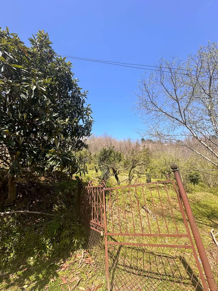 Plot of land in Agara