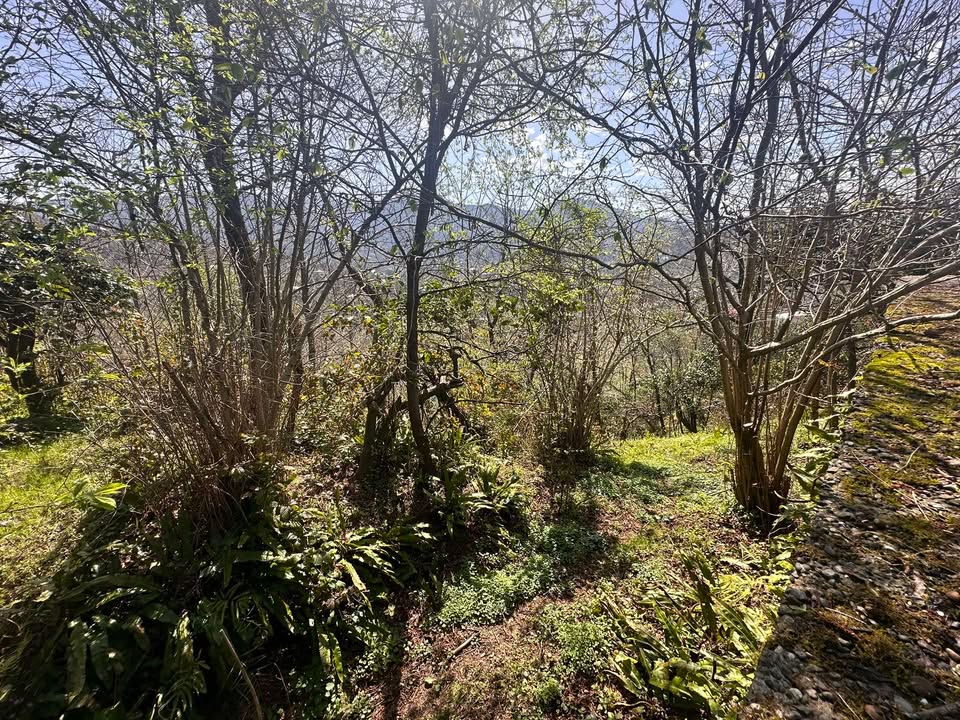 Plot of land in Agara