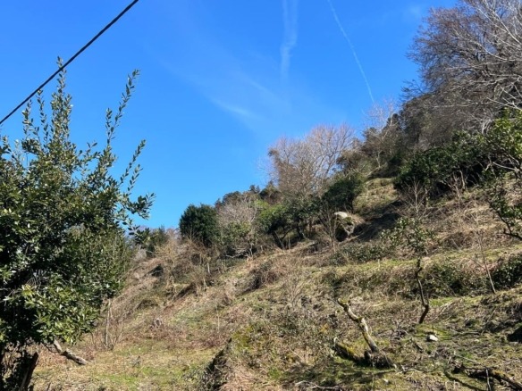 Plot of land in Gonio